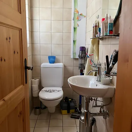 公寓 Maisonette Mit Bergsicht *