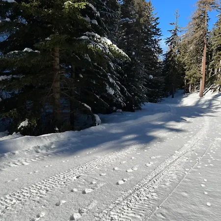 Appartement Maisonette Mit Bergsicht *