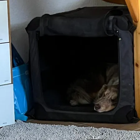 Maisonette Mit Bergsicht Bürchen