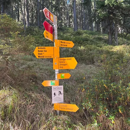 Maisonette Mit Bergsicht Appartement *