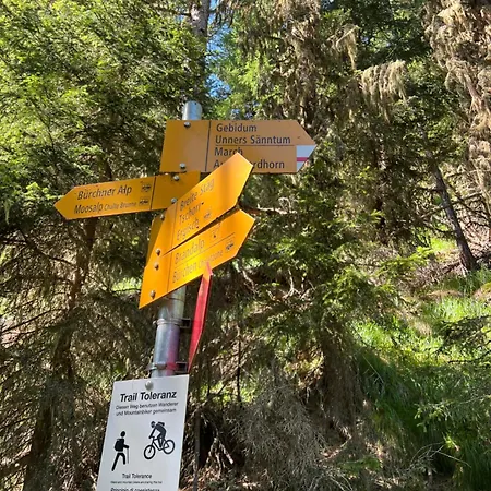 Maisonette Mit Bergsicht Appartement Bürchen