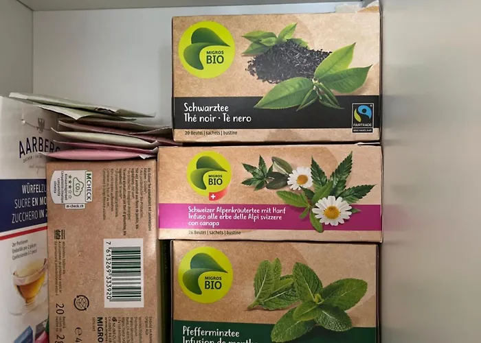 Maisonette Mit Bergsicht Bürchen